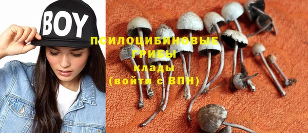 меф VHQ Горно-Алтайск
