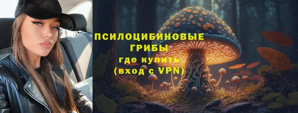 сатива Горняк