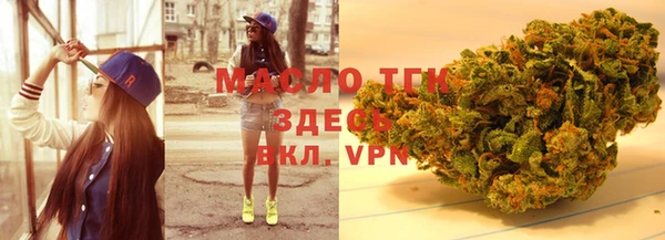сатива Горняк
